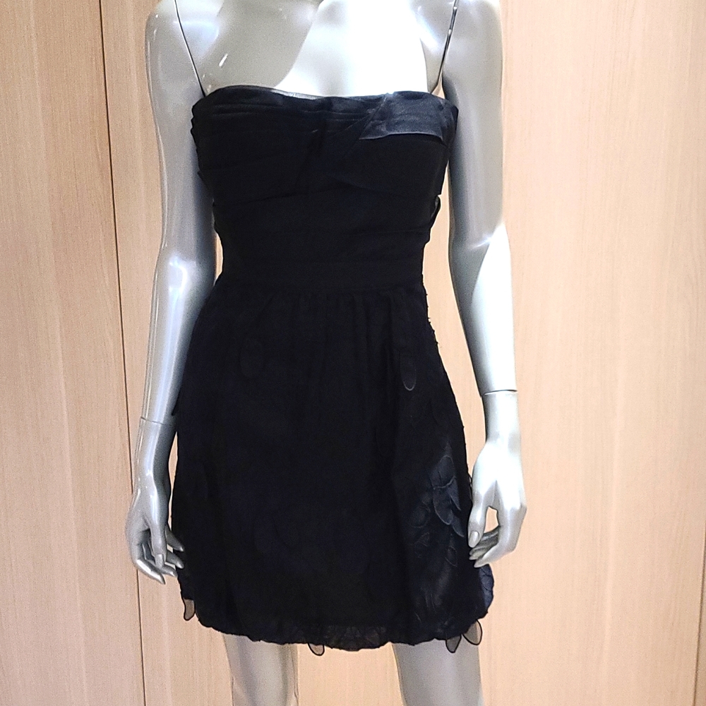 BCBG Silk Strapless dress NWT